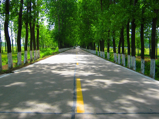 正陽(yáng)公路交通部門(mén)為“美麗鄉(xiāng)村”建設(shè)助力