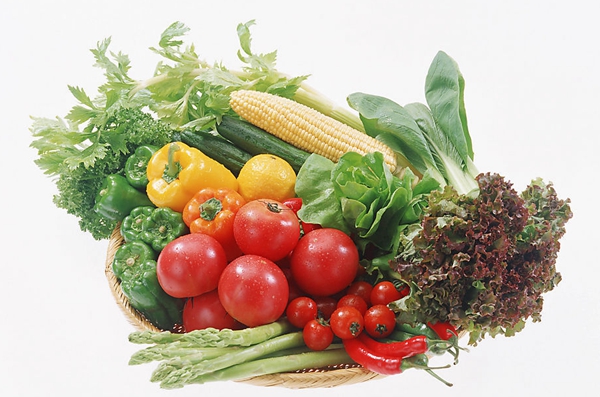 駐馬店近期雞蛋和蔬菜價(jià)格持續(xù)下跌