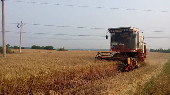 泌陽：吹響小麥機(jī)收會戰(zhàn)集結(jié)號