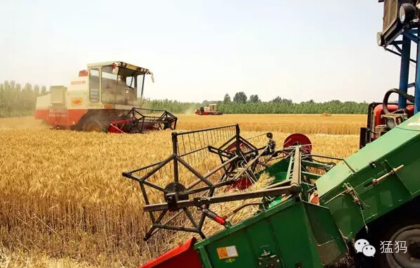 2015前10個月，河南農(nóng)產(chǎn)品出口逆市增長16.7%