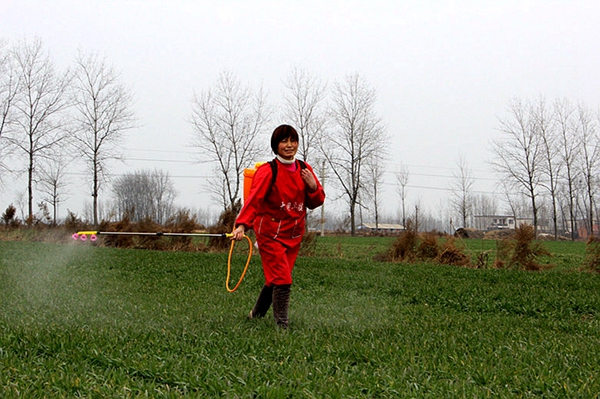 驚蟄節(jié)氣春耕始 麥田管理正當(dāng)時(shí)