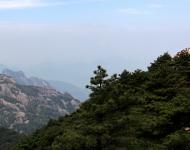這山只看那山高，風(fēng)景這邊獨(dú)好（攝影/水墨丹青）