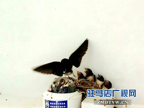 圖 1.jpg