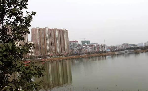 開(kāi)源公園里的別樣風(fēng)景