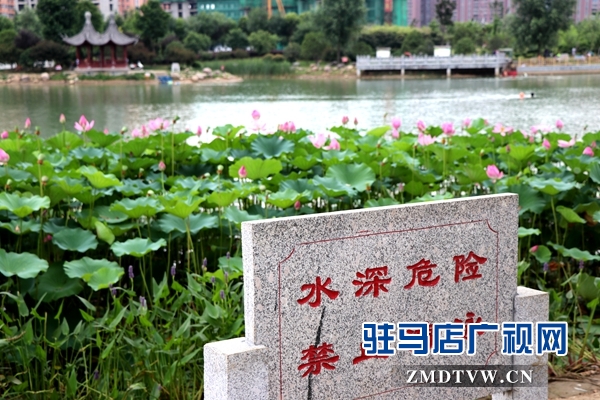 微信圖片_20170706170828.jpg