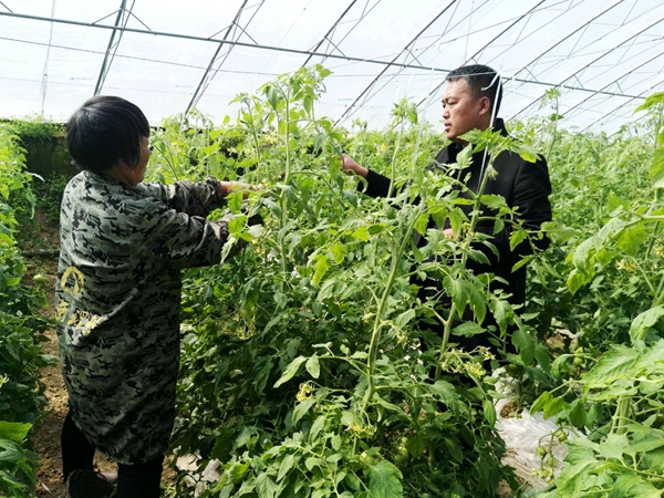“村官”趙萌：盡我全力 讓魏莊村越來(lái)越好
