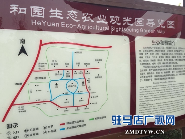 泌陽這個村子 迷倒一群群城里人