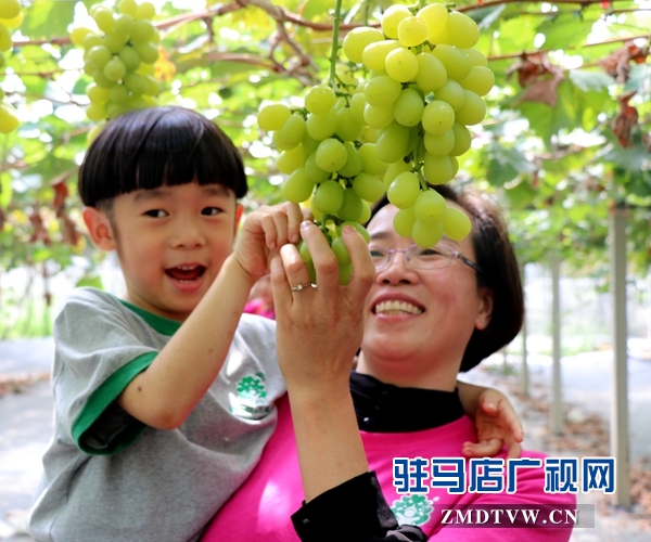杰美葡萄莊園打造親子教育基地 讓孩子體驗農作的樂趣