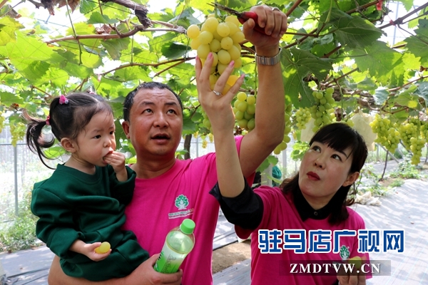 杰美葡萄莊園打造親子教育基地 讓孩子體驗農作的樂趣