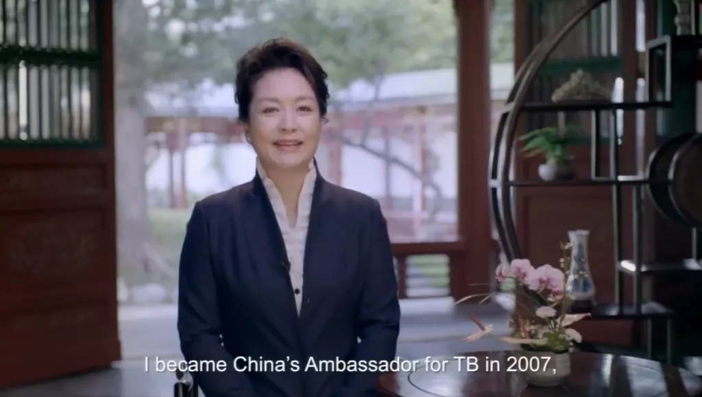 彭麗媛在聯(lián)合國大會(huì)上發(fā)表英文視頻講話，呼吁大家關(guān)注這件事！