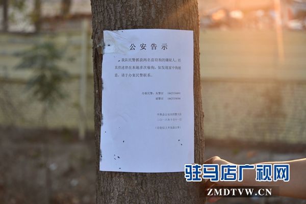 狗肉湯鍋店老板夫婦白天賣狗肉，晚上用弩和毒鏢盜狗