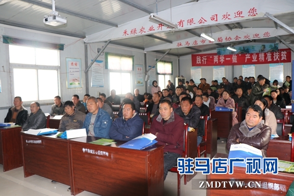 駐馬店市蔬菜種苗新技術培訓觀摩及蔬菜產業(yè)發(fā)展研討會召開