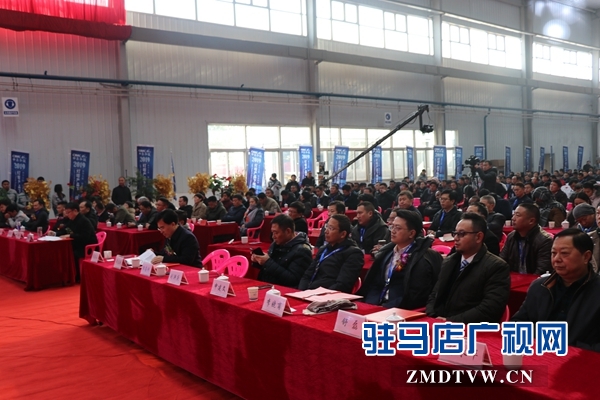 賀振華：強力推進“三大改造” 打造產(chǎn)業(yè)發(fā)展發(fā)達之城