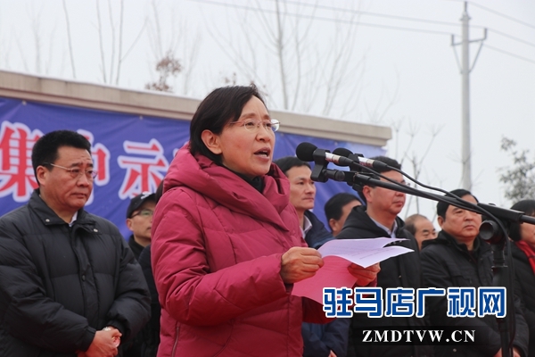 駐馬店市2019年“三下鄉(xiāng)”集中示范活動(dòng)正式拉開(kāi)帷幕