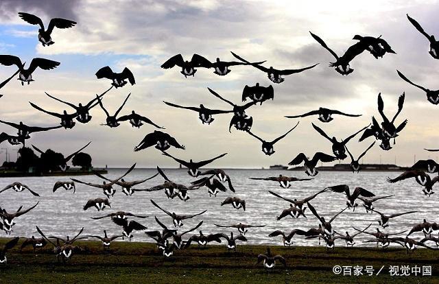 北大碩士畢業(yè)辭職送外賣，觸動(dòng)了社會的哪根神經(jīng)？