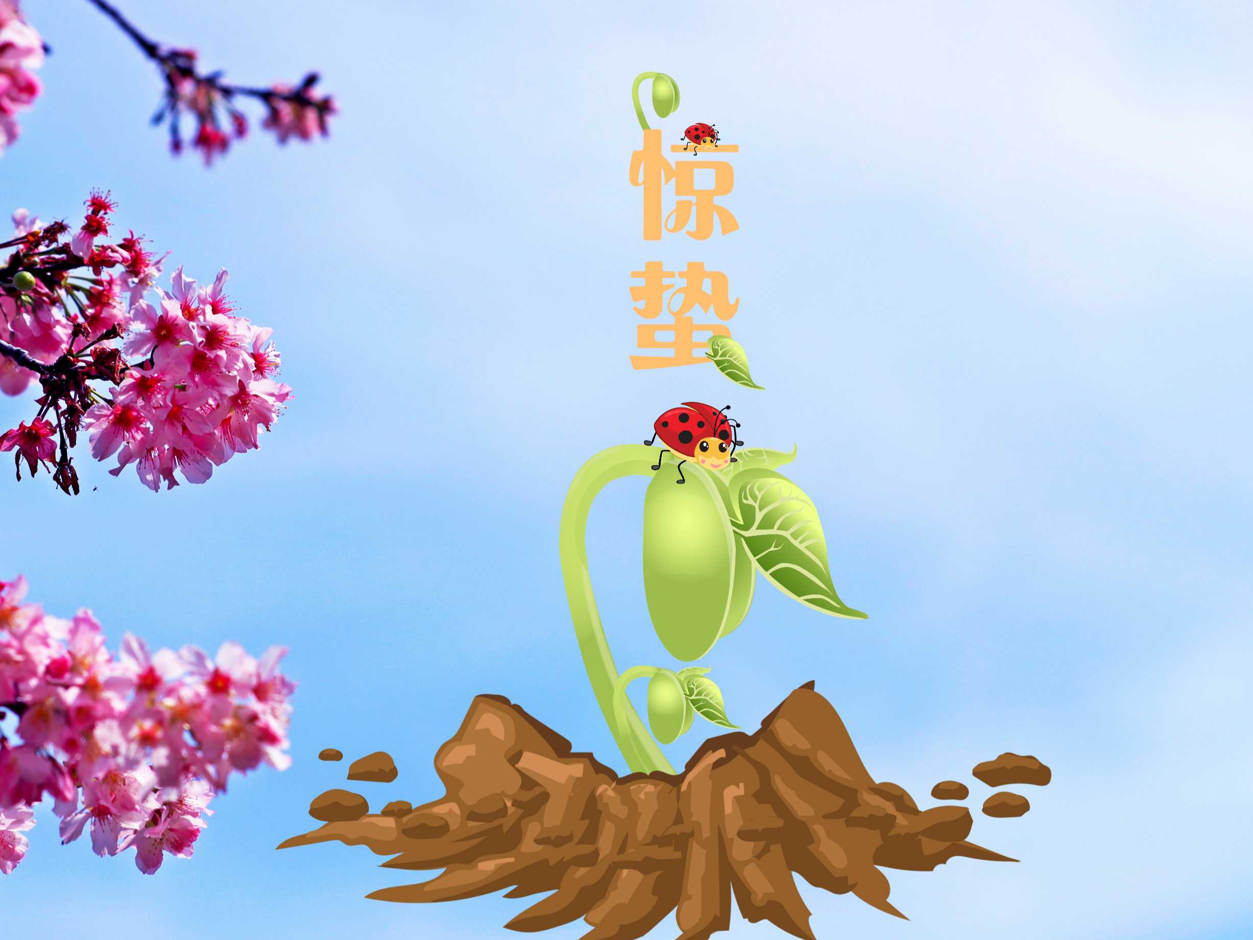 “善變”的驚蟄來了！防蟲“十八般武藝”你Get了嗎？