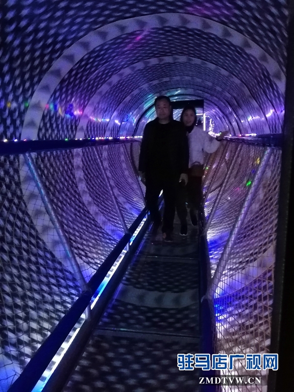 天氣轉(zhuǎn)暖 金頂山迎來春游小高峰