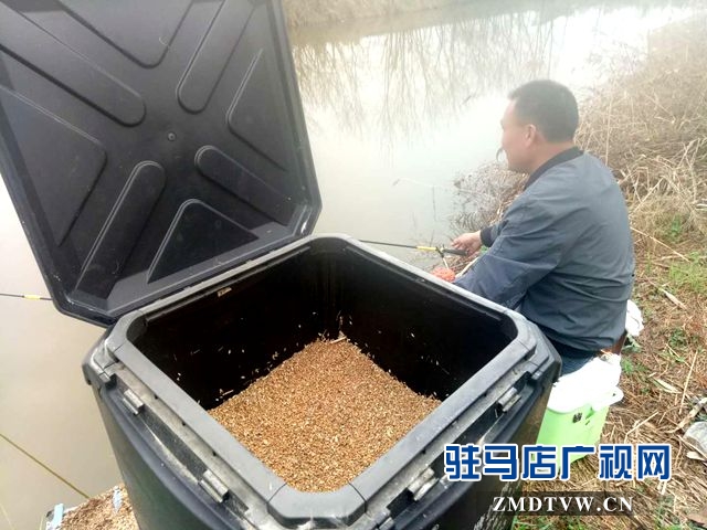 臧全勝:讓“老鬼坑”變成“花果園”