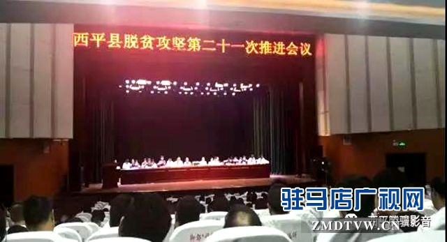 這樣的村干部誰不想要？——記西平“最美扶貧人”朱賓