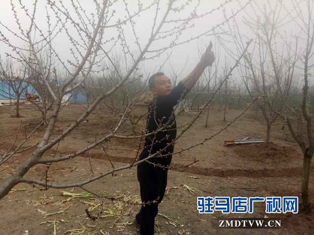 臧全勝:讓“老鬼坑”變成“花果園”