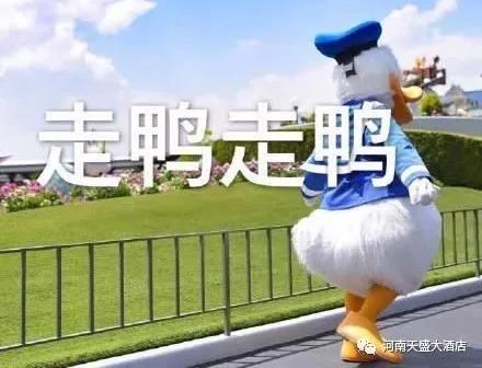 有才你就來(lái)，一大波崗位來(lái)襲！