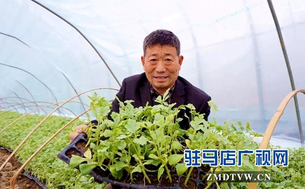 正陽(yáng)縣“西瓜大王”戴子星助力脫貧攻堅(jiān)