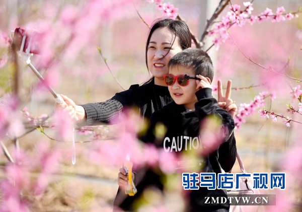 新蔡縣以桃花、番茄、稻香為載體 打造特色農(nóng)產(chǎn)品產(chǎn)業(yè)