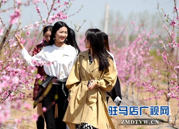 新蔡縣以桃花、番茄、稻香為載體 打造特色農(nóng)產(chǎn)品產(chǎn)業(yè)