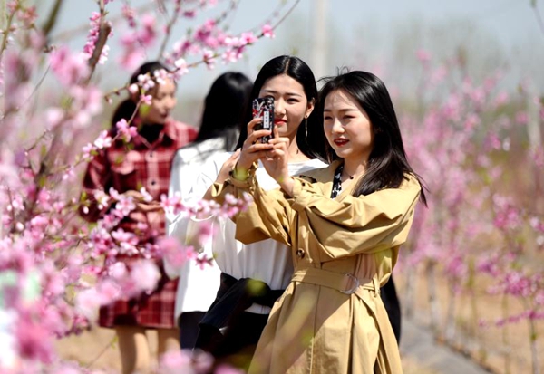 新蔡縣以桃花、番茄、稻香為載體 打造特色農(nóng)產(chǎn)品產(chǎn)業(yè)