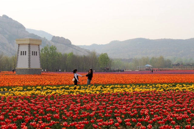 遂平多處美景獲省內(nèi)外記者頻頻稱贊