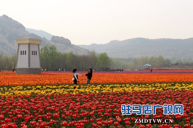 遂平多處美景獲省內(nèi)外記者頻頻稱贊