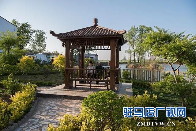 康建華：興村富民領頭雁 實事辦了一串串