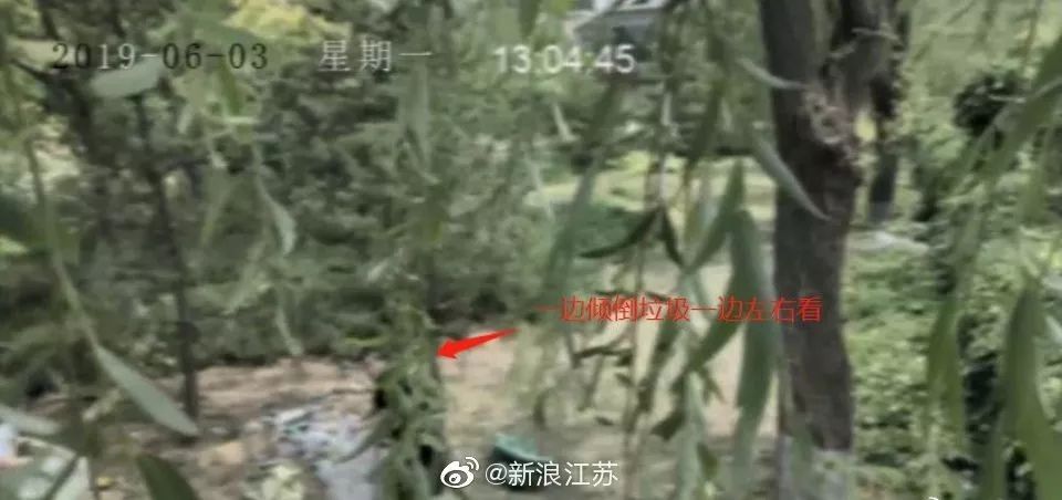 新時(shí)代的網(wǎng)紅靠什么才能“躺贏”？ 