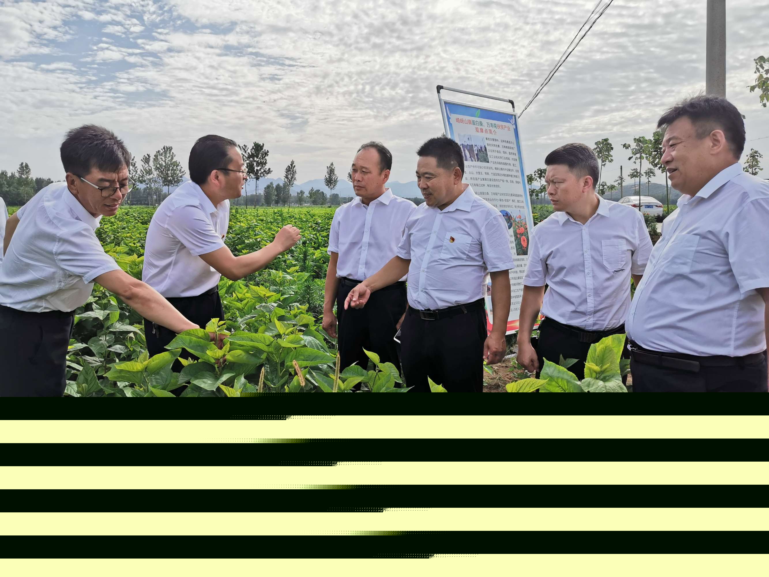 駐馬店市企業(yè)家協(xié)會二屆第四組走進遂平嵖岈山鎮(zhèn)蛋白桑葉基地精準產(chǎn)業(yè)扶貧暨慰問老黨員活動圓滿舉行