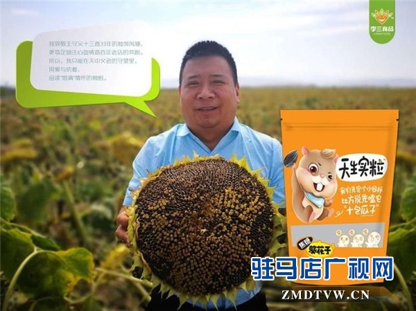 萬畝葵田競相綻放成浪漫和唯美 ，七天夢想免費之旅您準備好了么？