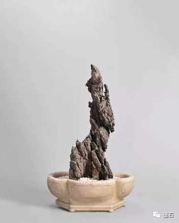 百家爭(zhēng)鳴|從觀象博物館2019夏拍談?dòng)^賞石拍賣(mài)之路 