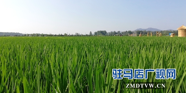 確山縣留莊鎮(zhèn)被正式授予國家級(jí)3A景區(qū) 