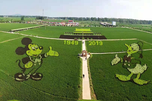 確山縣留莊鎮(zhèn)稻田公園被正式授予國家3A級景區(qū)