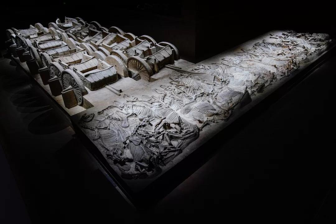 山西青銅博物館開館 | 2000余件國(guó)之重器從遠(yuǎn)古睡夢(mèng)中醒來(lái)，青銅變王者 