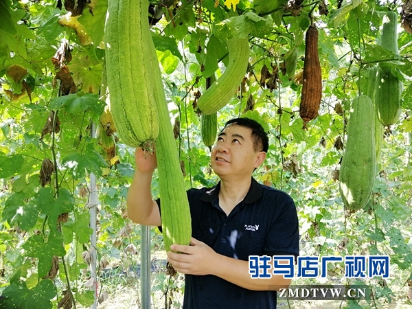 市拔尖人才姜?。号μ岣呖蒲兴?大力助推脫貧工作