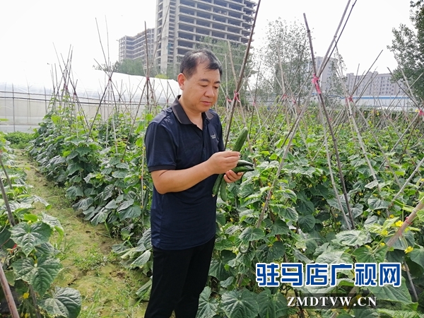 市拔尖人才姜?。号μ岣呖蒲兴?大力助推脫貧工作