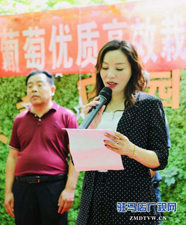 葡萄熟了！駐馬店杰美葡萄莊園盛大開園