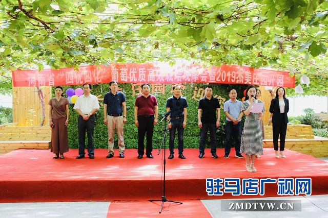 葡萄熟了！駐馬店杰美葡萄莊園盛大開園