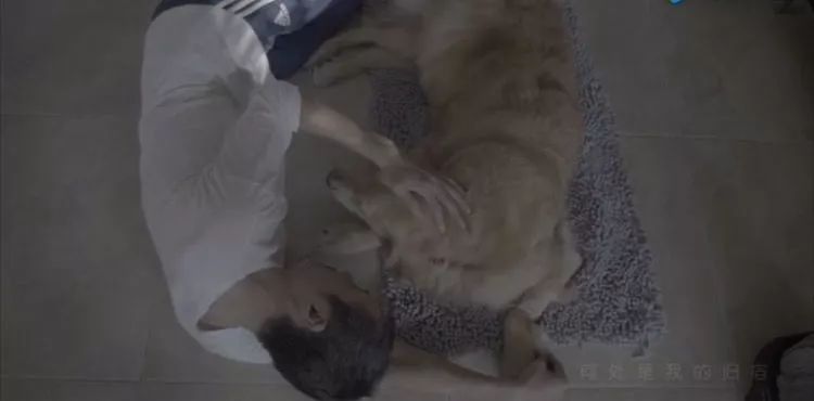 45歲樸樹錄節(jié)目突然離場：我歲數(shù)大了，要回家睡覺了…… 