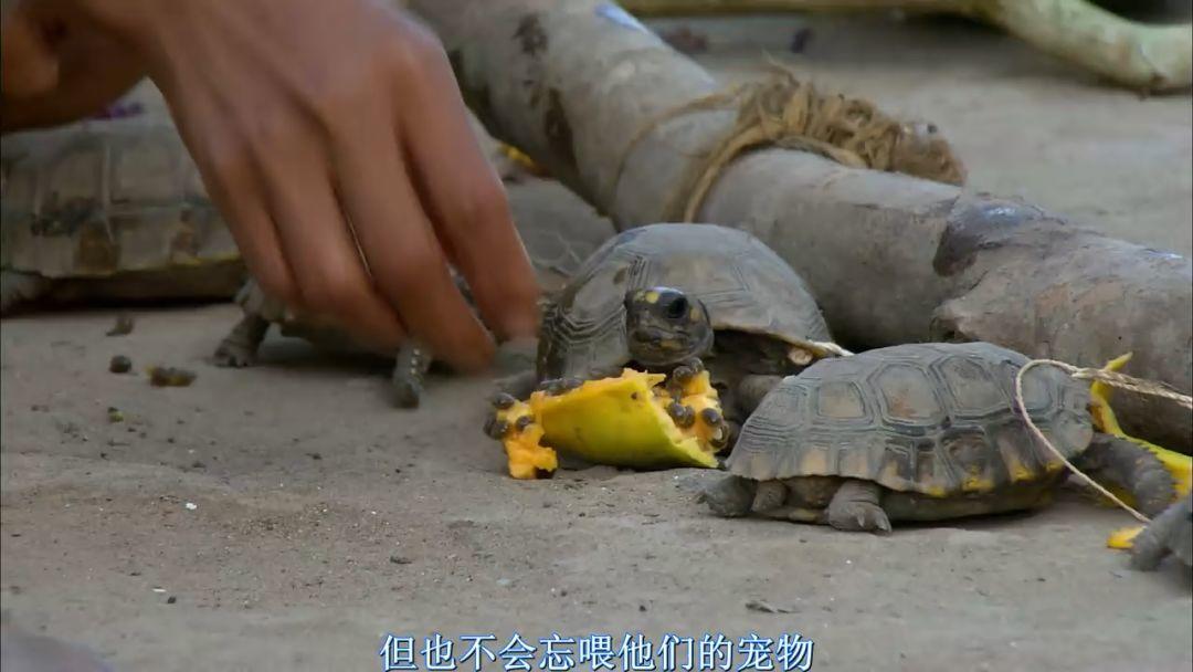 刷屏朋友圈的假「圣母」，今天必須拆穿 