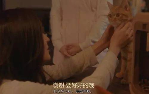 抖音呈現(xiàn)的到底是個什么世界？ 