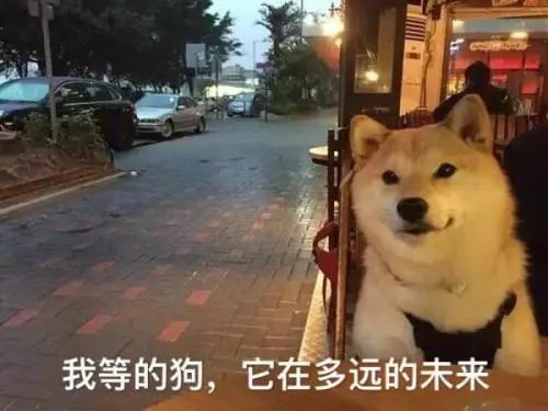 鄭州青年單身率67.57%，全國單身人口已超2億：你為什么單身？ 