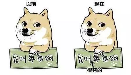 鄭州青年單身率67.57%，全國單身人口已超2億：你為什么單身？ 