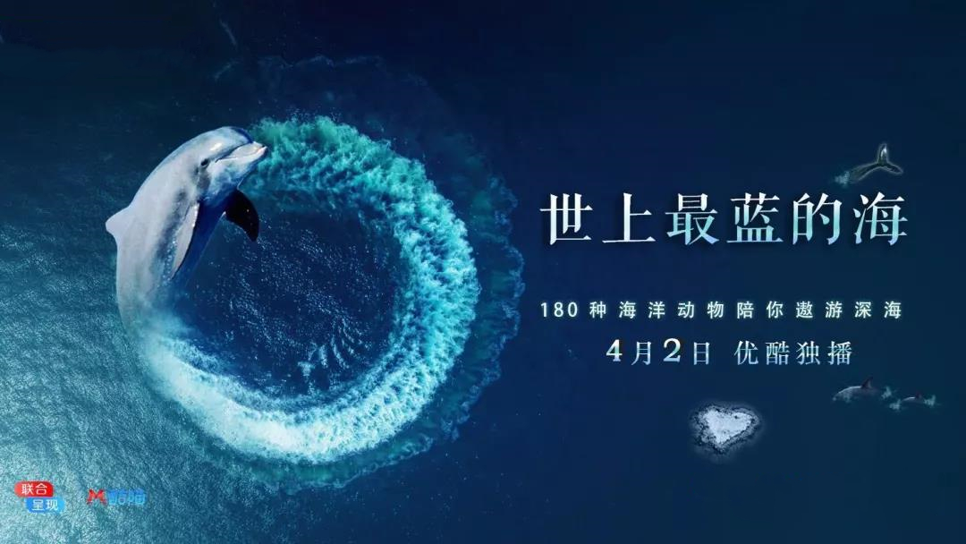 大堡礁5至25年內(nèi)將消失！未來(lái)，我們可能再也見不到了 | 正在消失的世界記憶 
