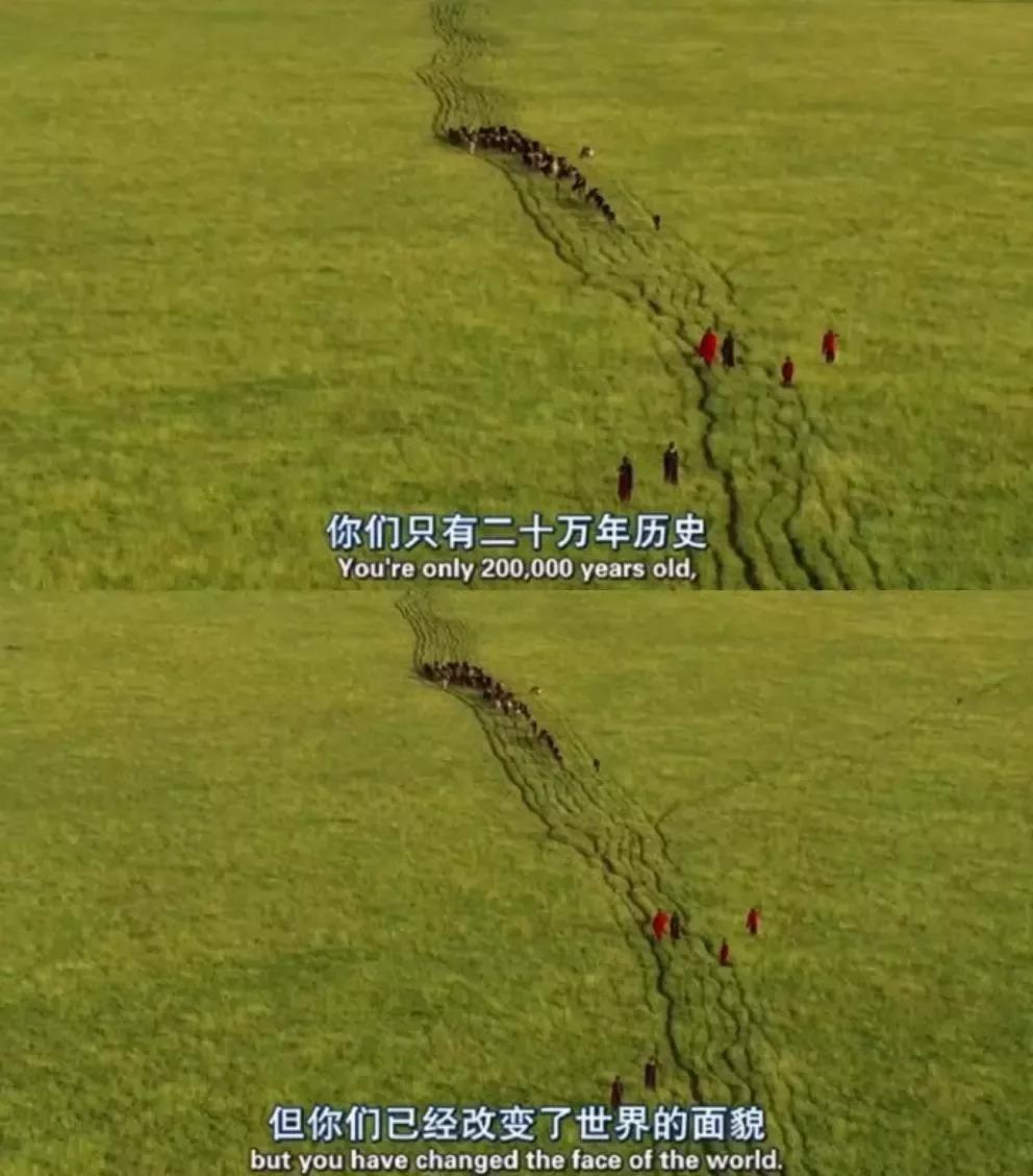 大堡礁5至25年內(nèi)將消失！未來(lái)，我們可能再也見不到了 | 正在消失的世界記憶 